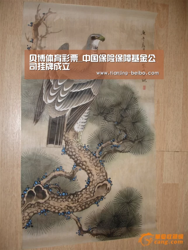 贝博体育app