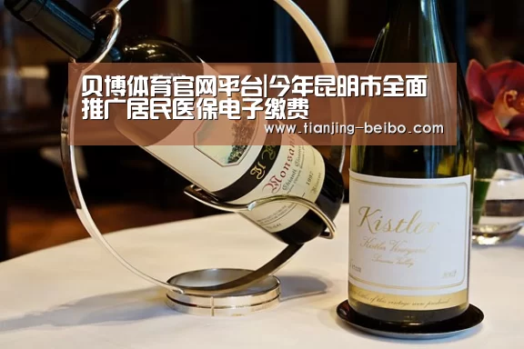 贝博体育官网平台|今年昆明市全面推广居民医保电子缴费(图3) 贝博体育彩票